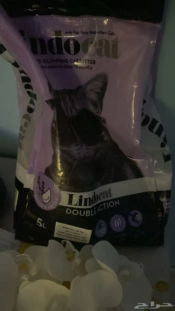 قطه شيرازي 5