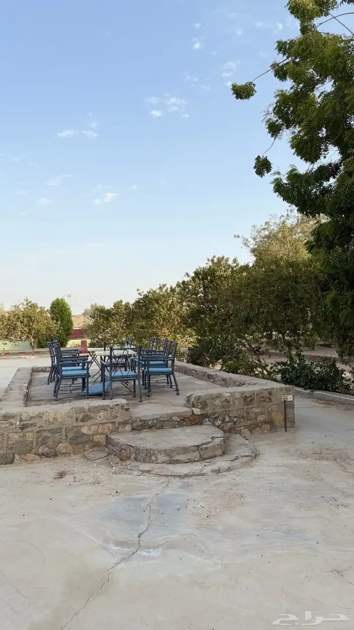 مركز سيمت ستارز للفروسية 6