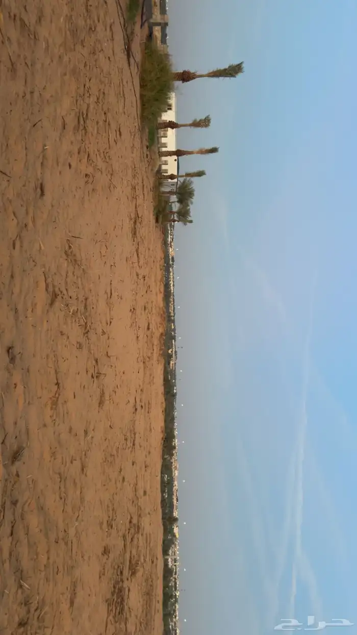 اسطبل جاهز 14