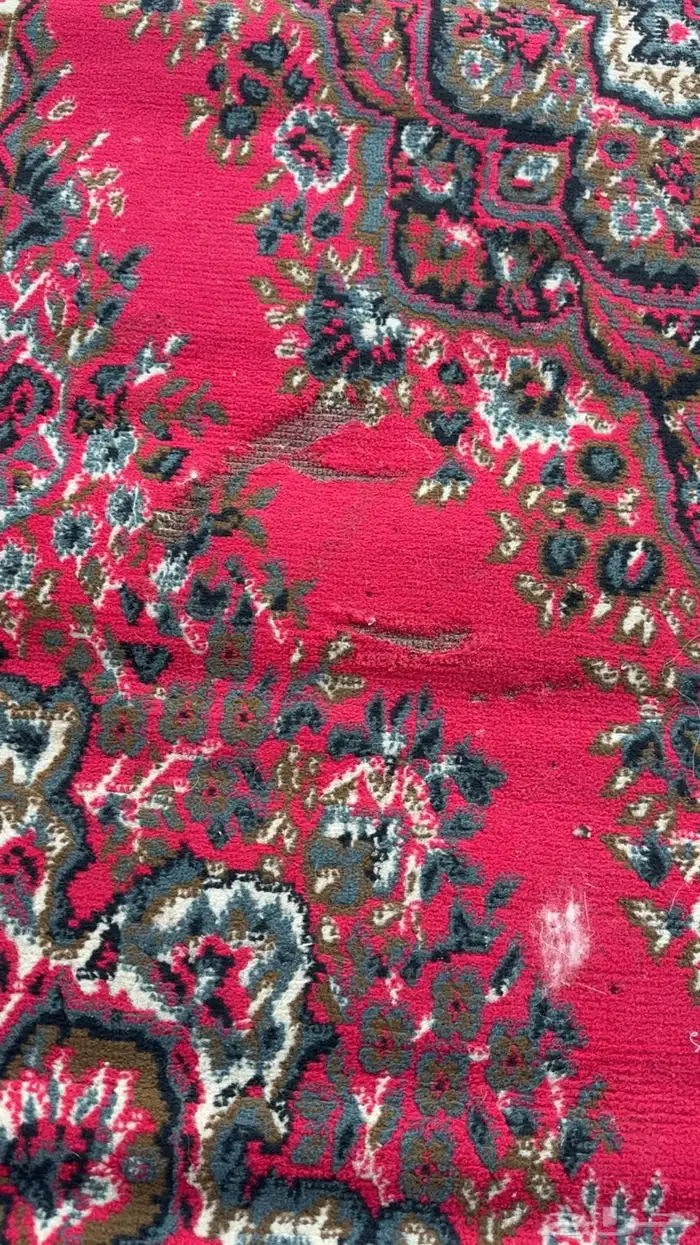 6 زولي نظيفه 2