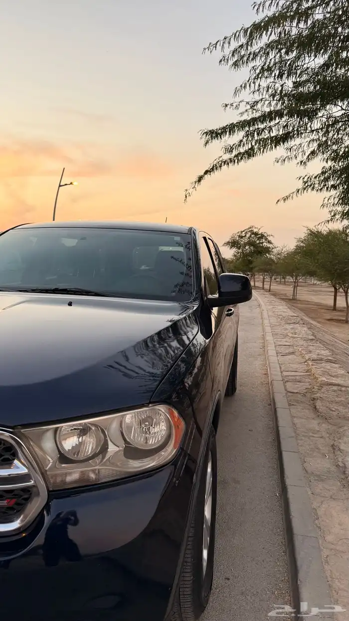 دورانجو 2013 11