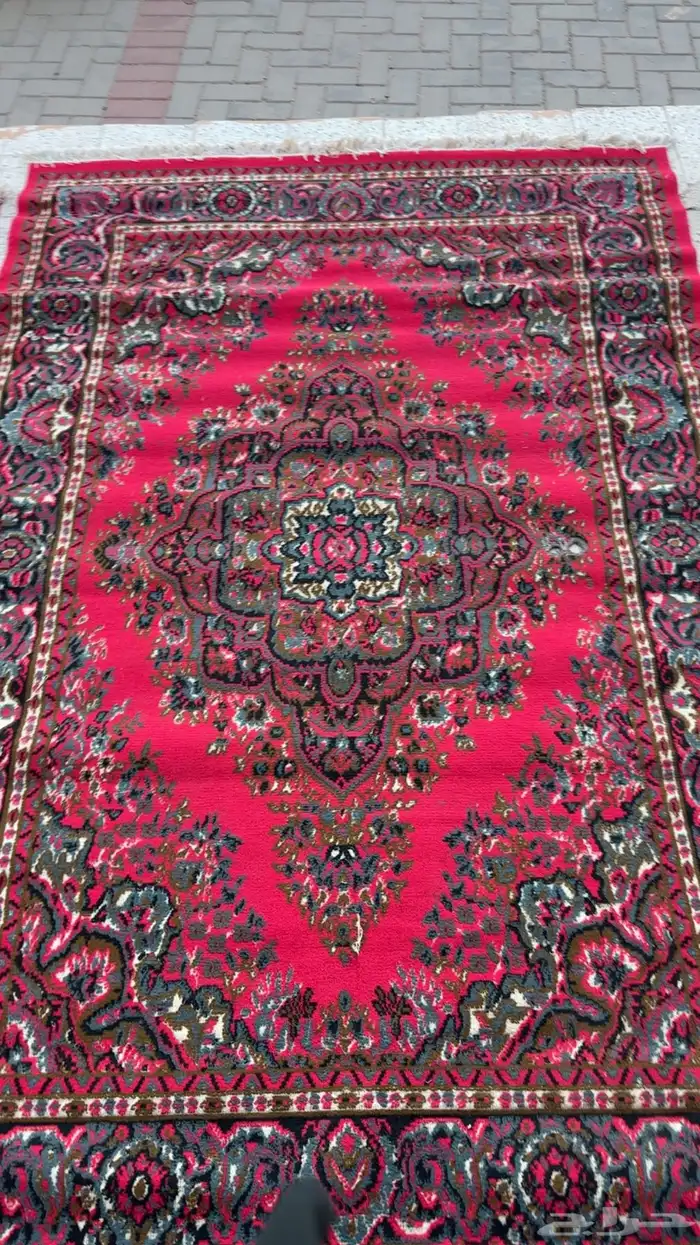 6 زولي نظيفه 6