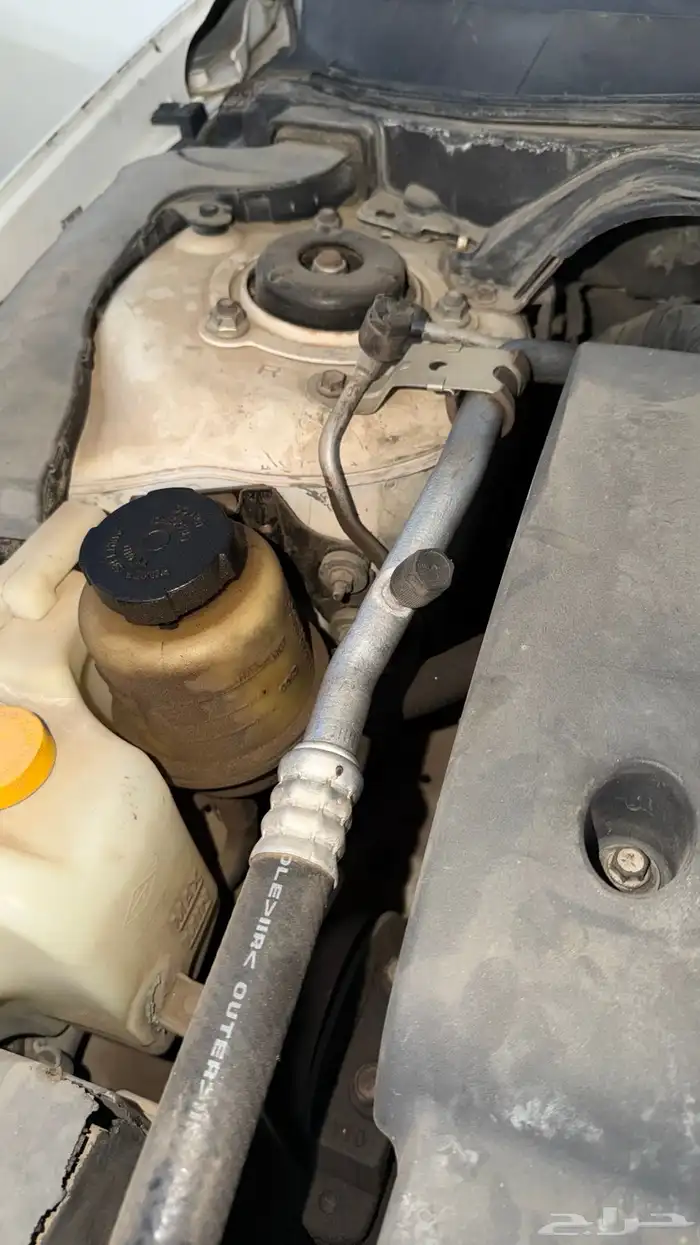 التيما 2007 15