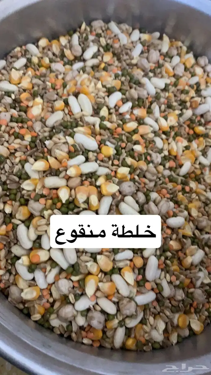 موجودة اكل منقوع واقفاص وسيريلاك للطيور يوجد اكل للببغاوات 4