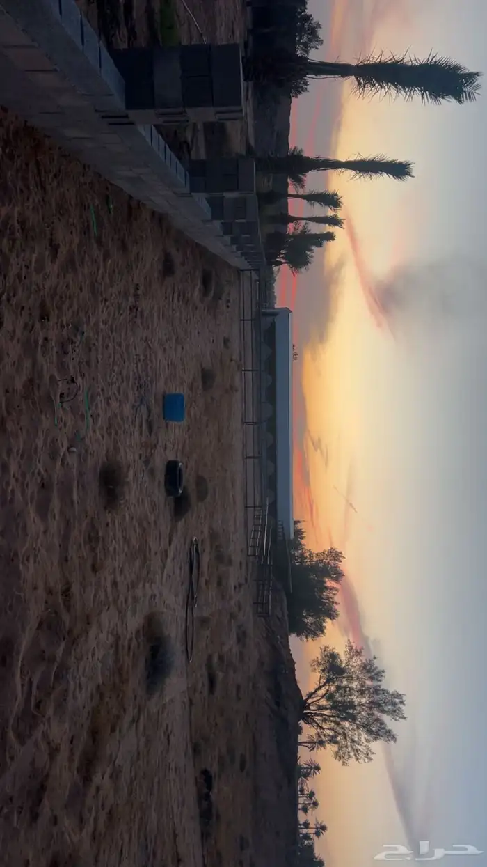 اسطبل جاهز 10