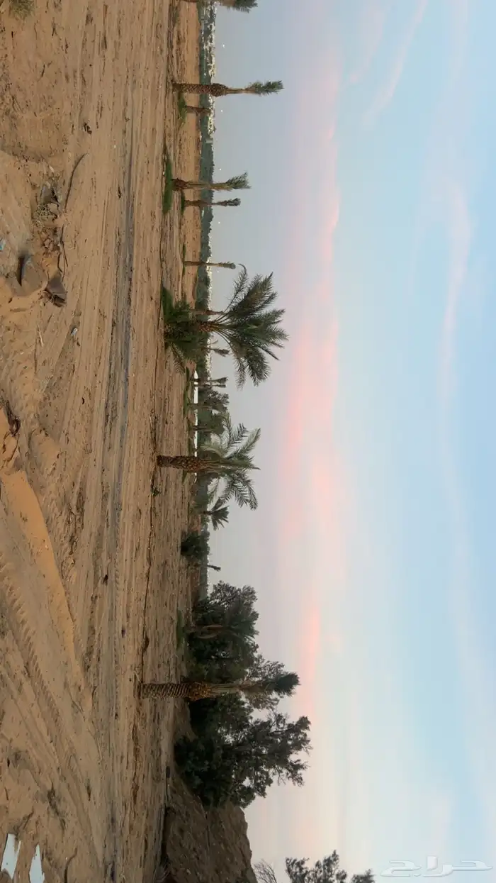 اسطبل جاهز 15