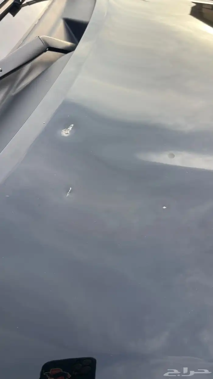 نيسان باترول بلاتينوم 2022 10