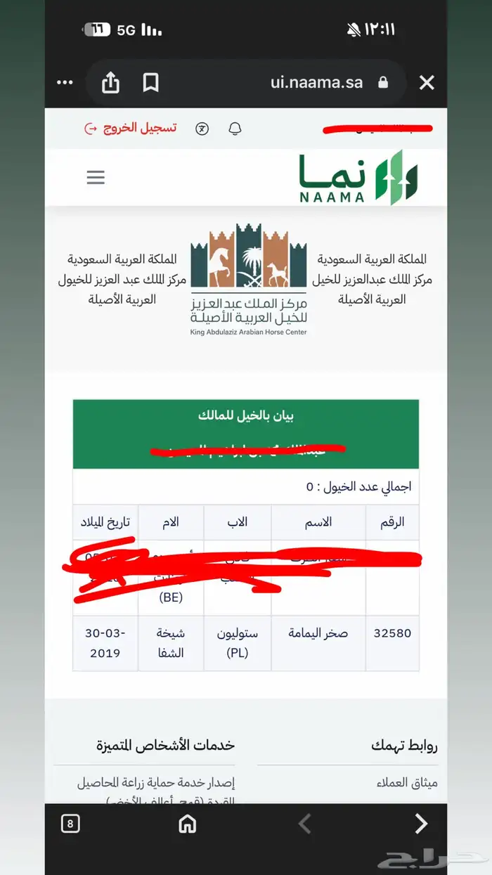 حصان واهو 11