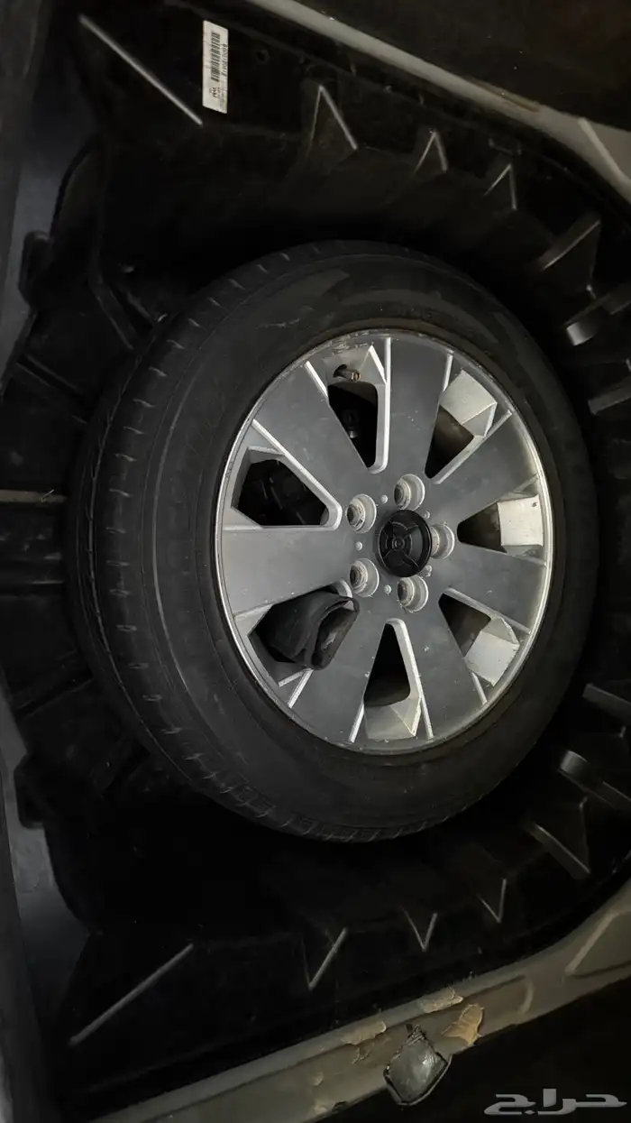 كابرس 2012 LS 15