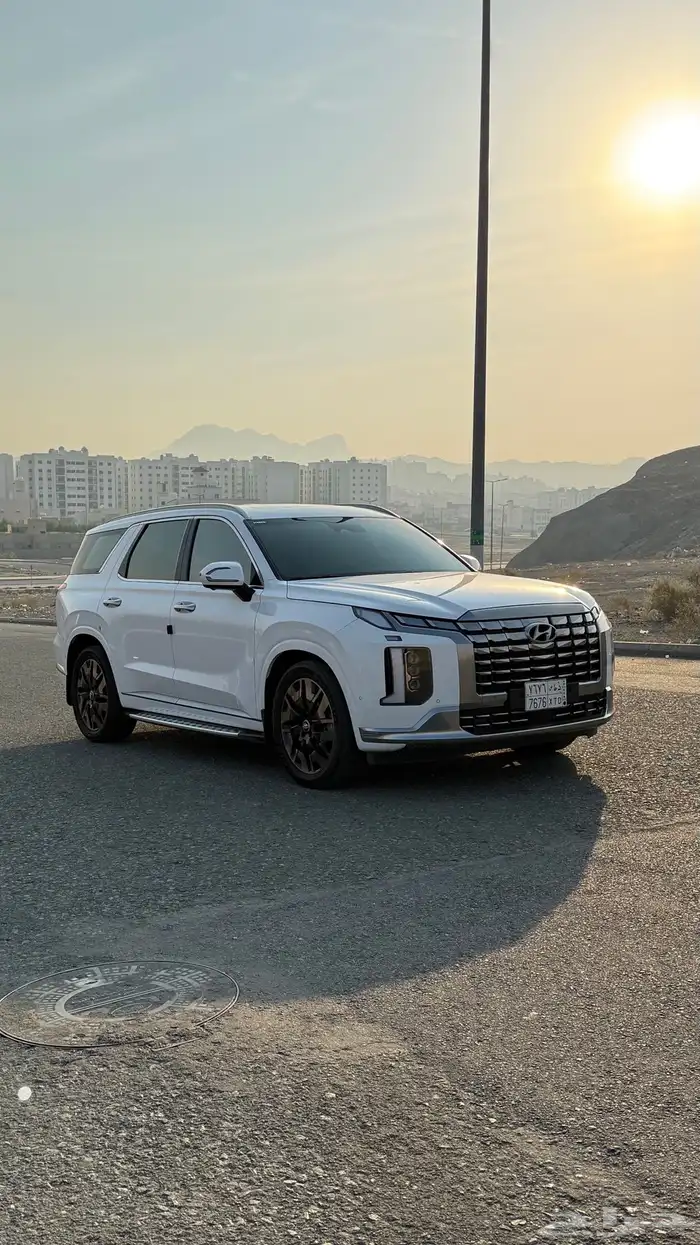 هواندي بالسيد كالجرافي 2023 1