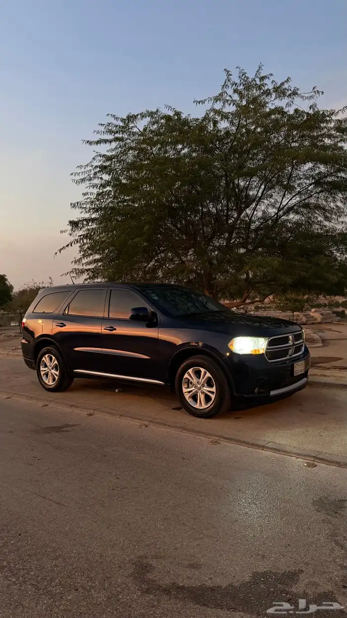 دورانجو 2013 9