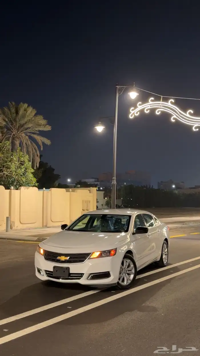 آمبالا الغزال الامريكي   . 27