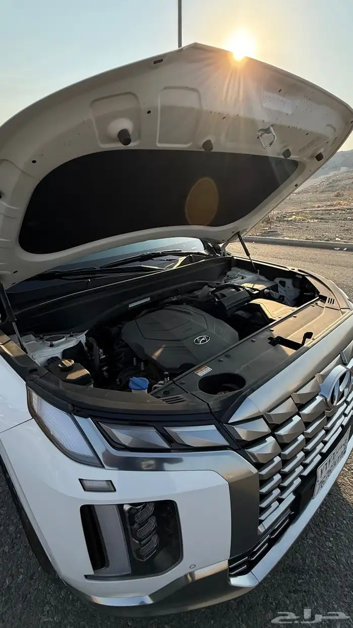 هواندي بالسيد كالجرافي 2023 31