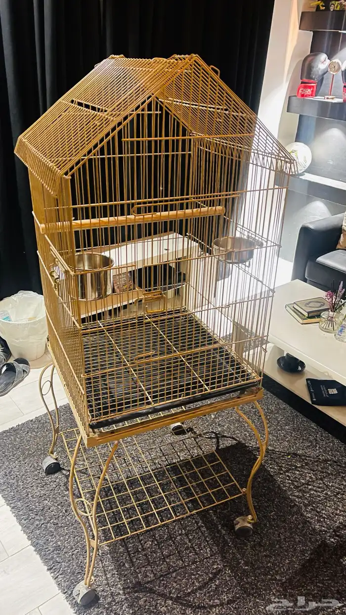 صندوق ببغاء 1