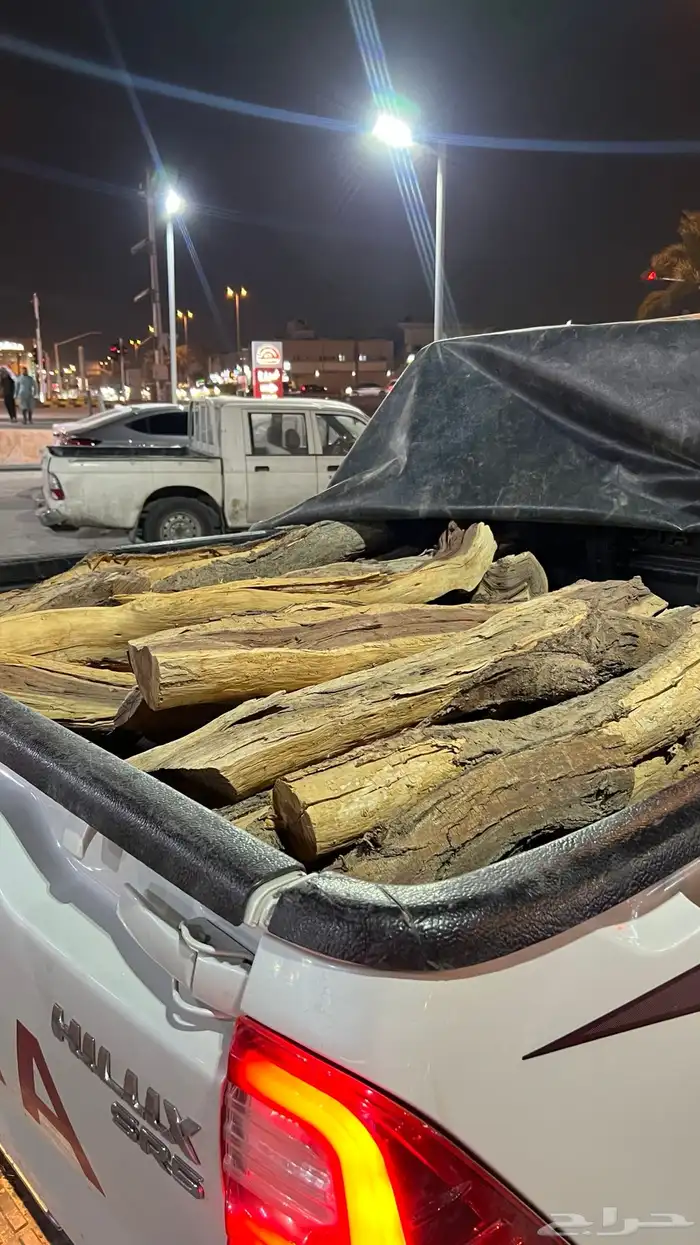 حطب مستورد 1