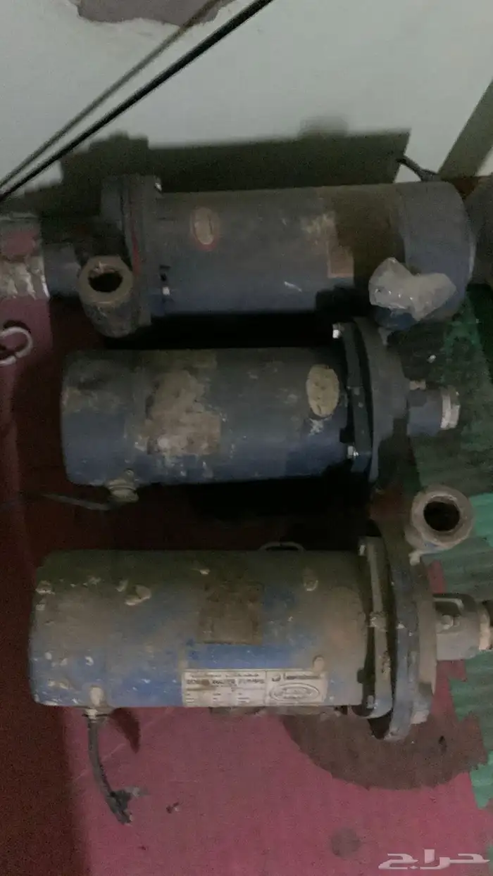 دينموات3 حبات شمسان 4