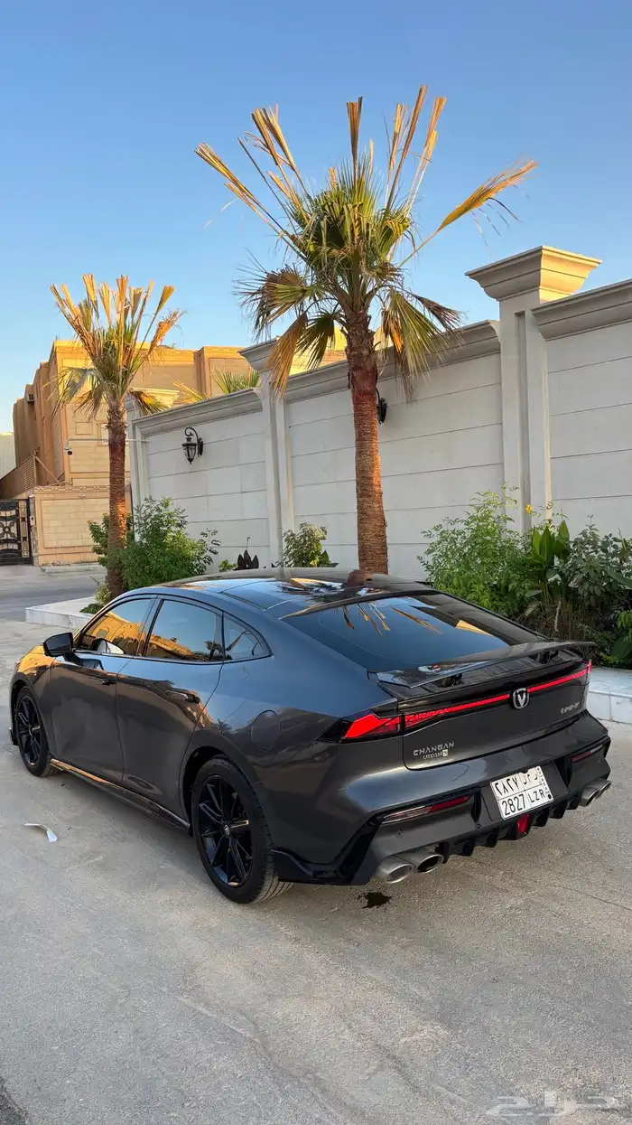 شانجان يوني في 2025 سبورت للبيع 2