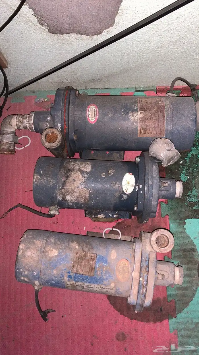 دينموات3 حبات شمسان 1