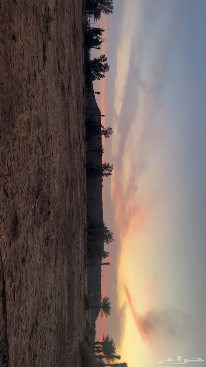 اسطبل جاهز 13