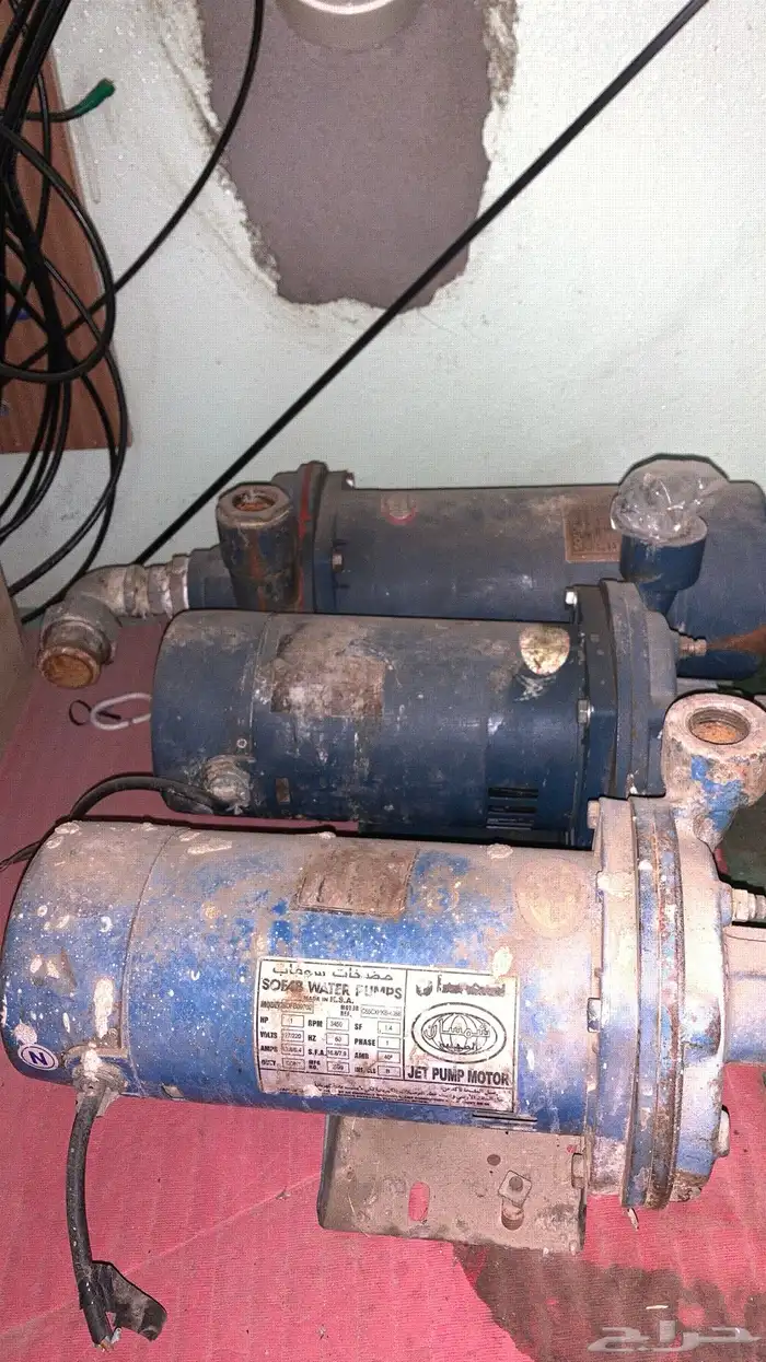 دينموات3 حبات شمسان 0