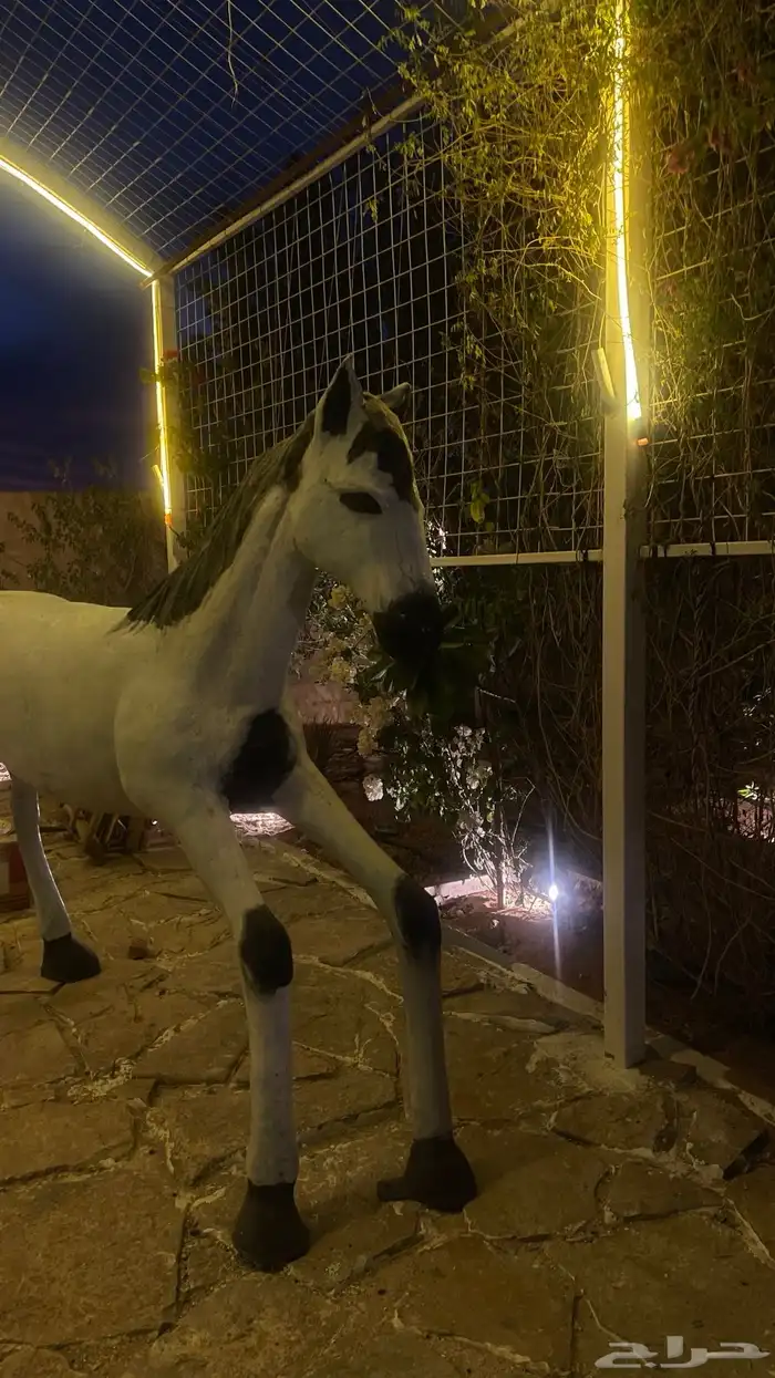مجسم حصان فيبر 2