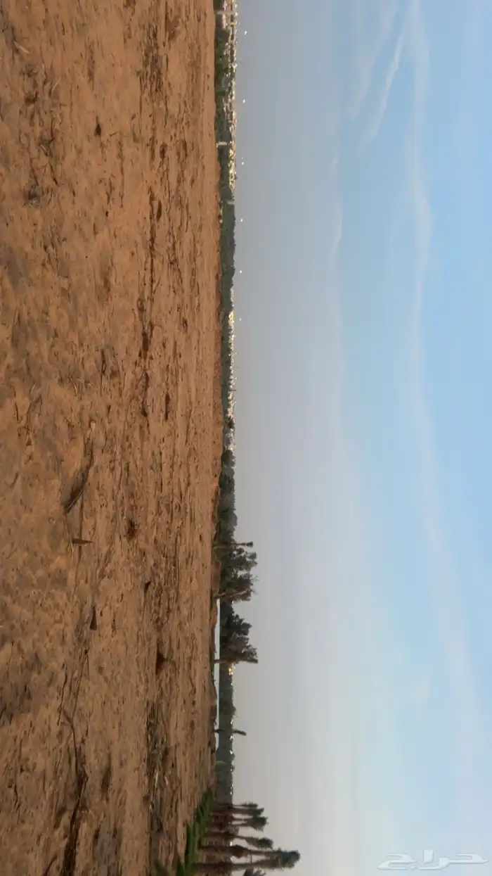 اسطبل جاهز 11