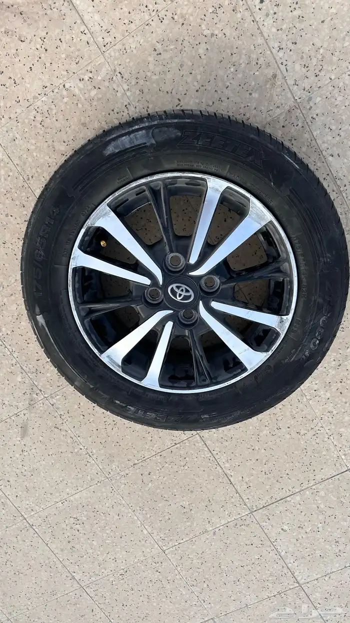 جنوط يارس 2021 حقت الوكالة 4