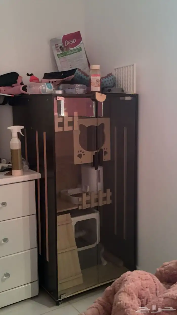 قط سكوتش ستريت مع دولابها الخاص 5