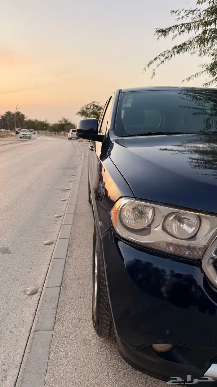 دورانجو 2013 8