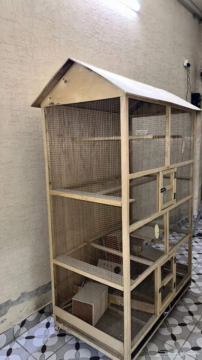 شبك عصافير 3