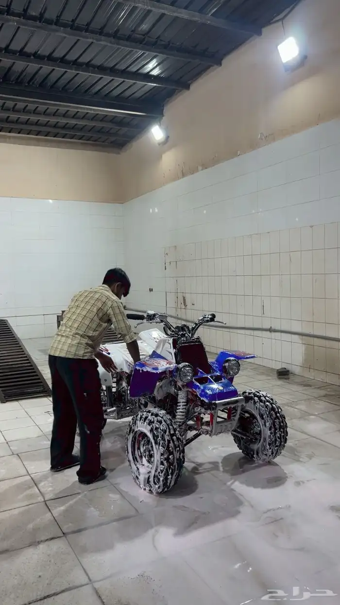 دباب بانشي 1