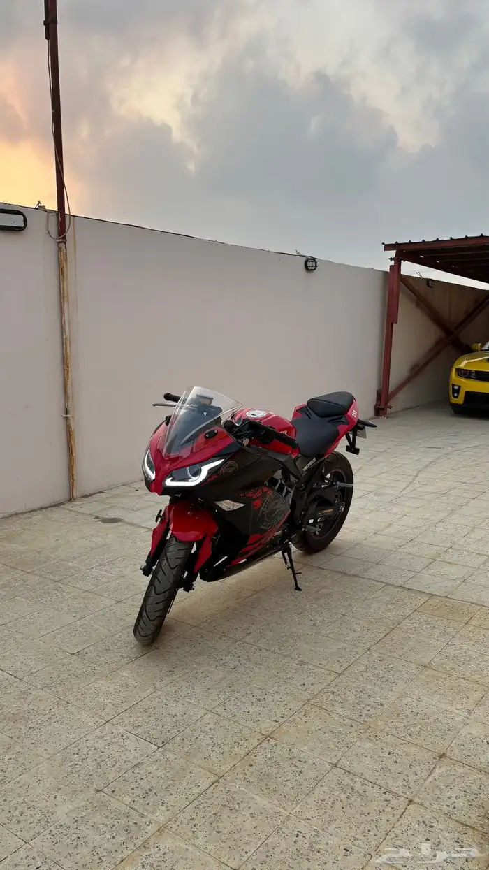 دباب ريس 250cc 10
