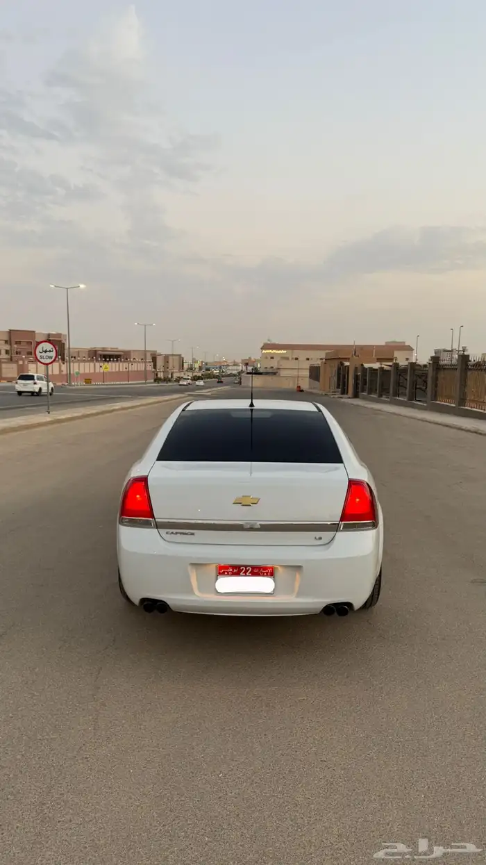 كابرس 2012 LS 20