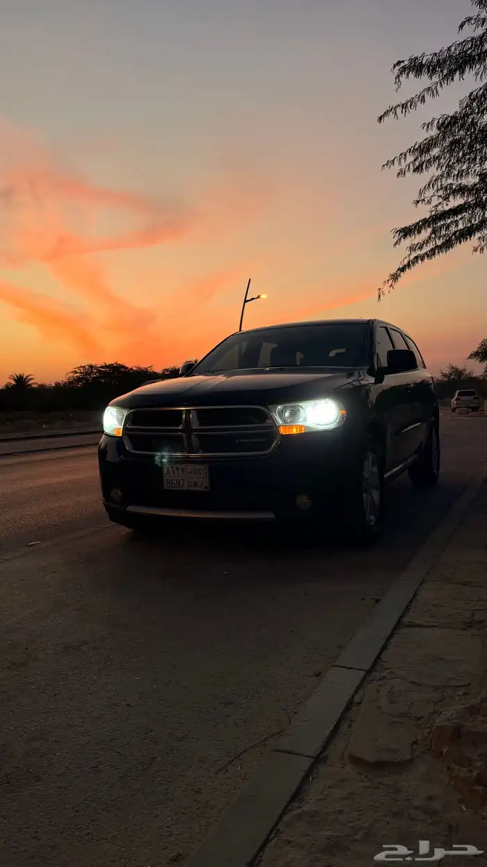 دورانجو 2013 5