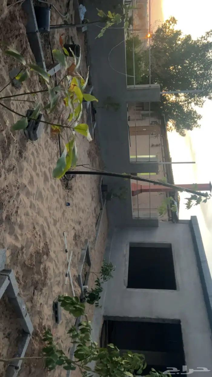 اسطبل جاهز 2