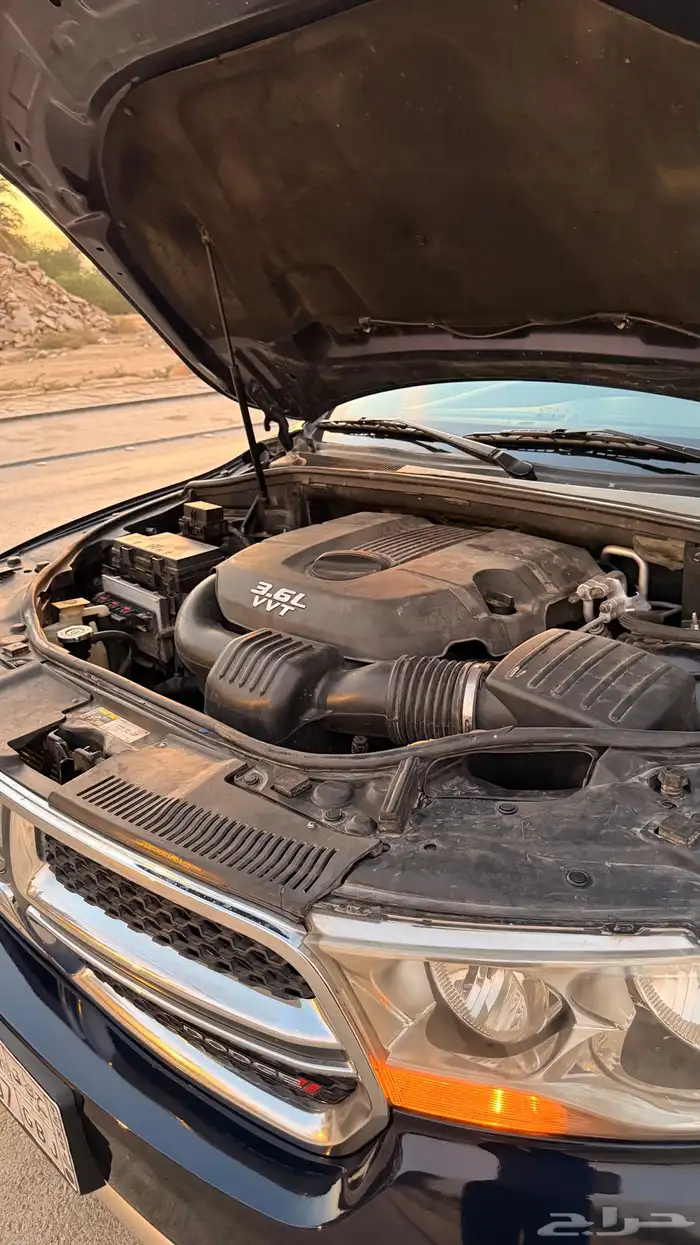 دورانجو 2013 32