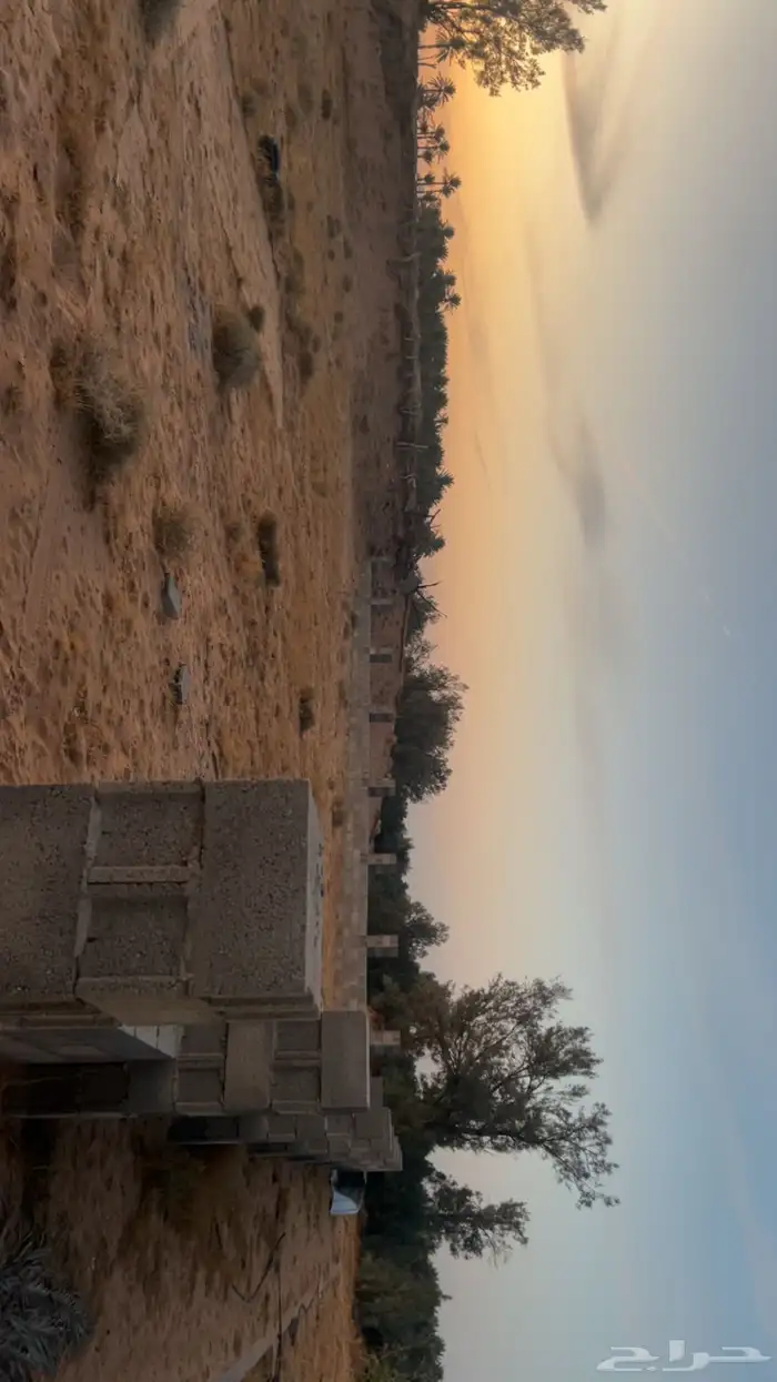 اسطبل جاهز 9