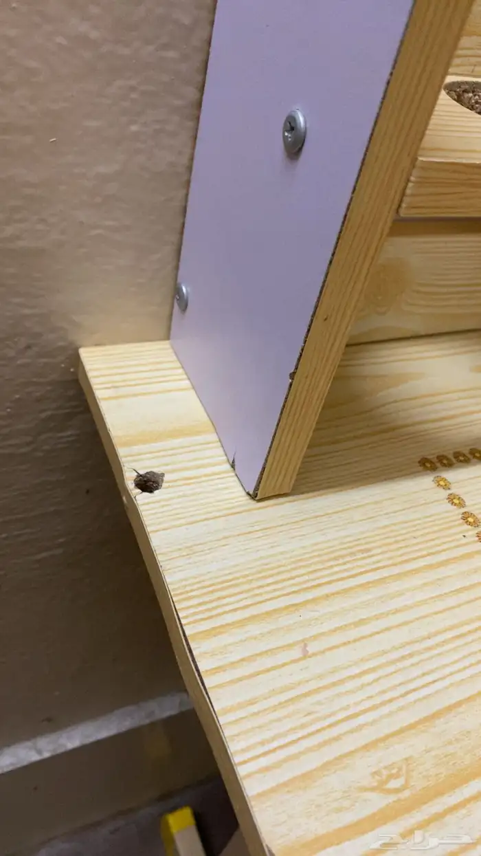 طاوله مكتبيه 4