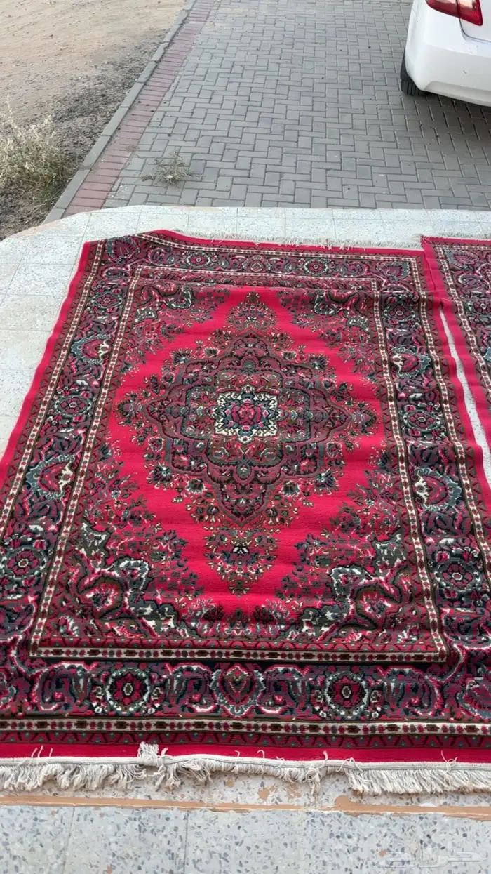 6 زولي نظيفه 8