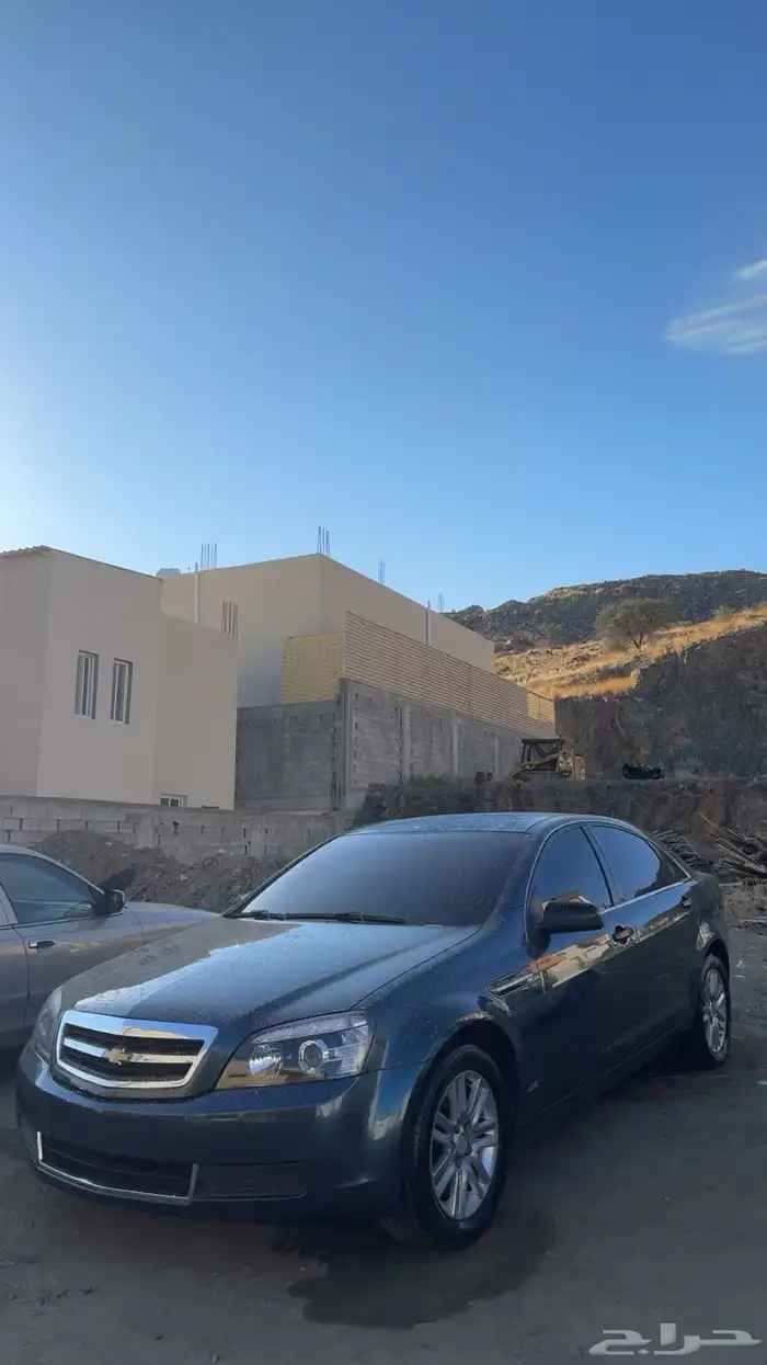 للبيع كابرس 2013 11