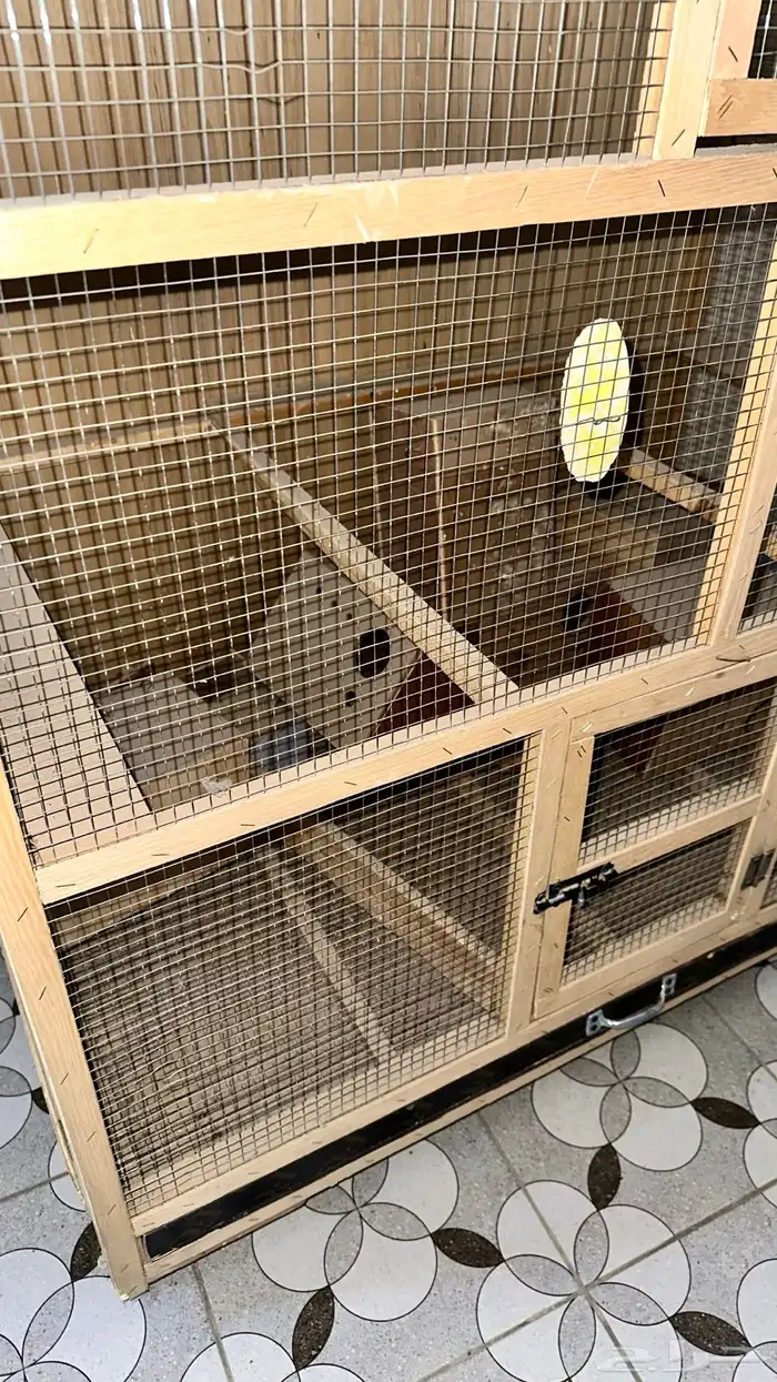 شبك عصافير 4