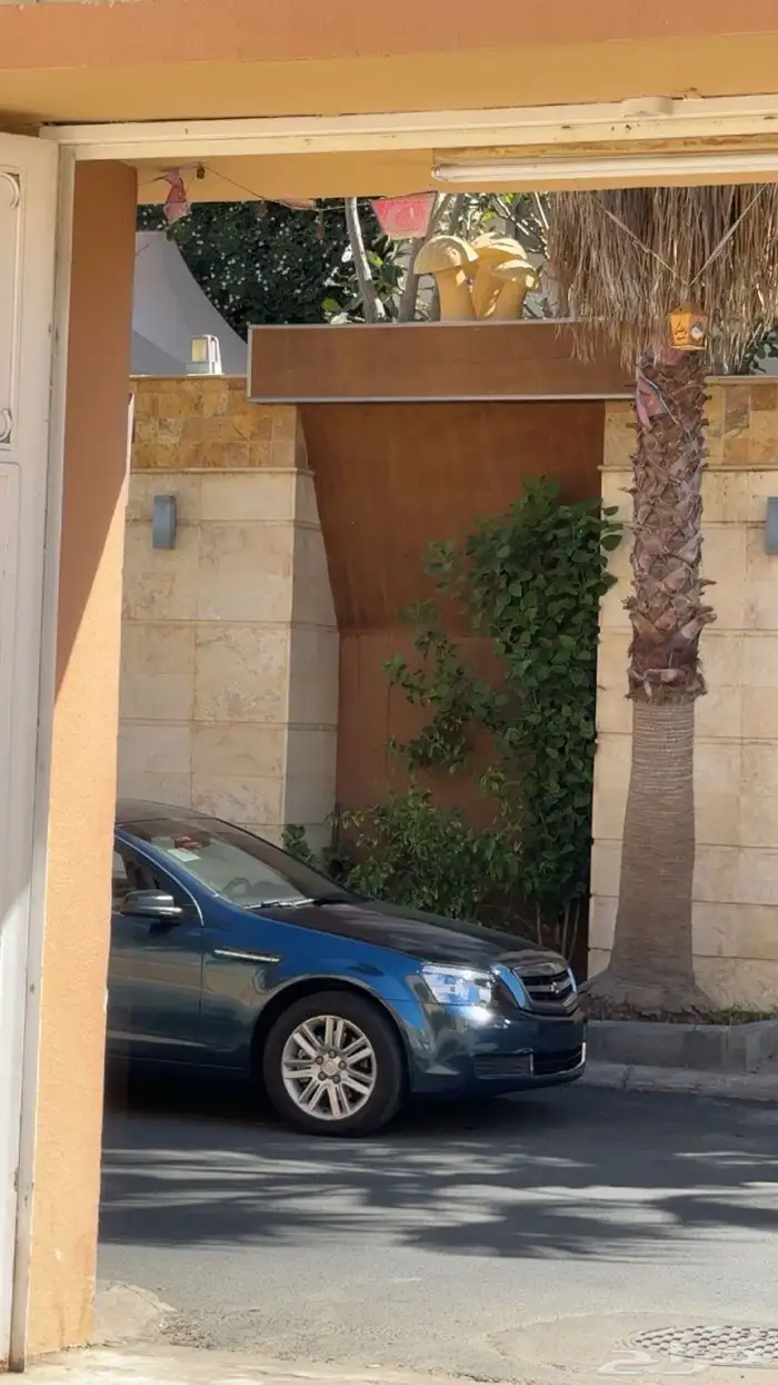 للبيع كابرس 2013 19