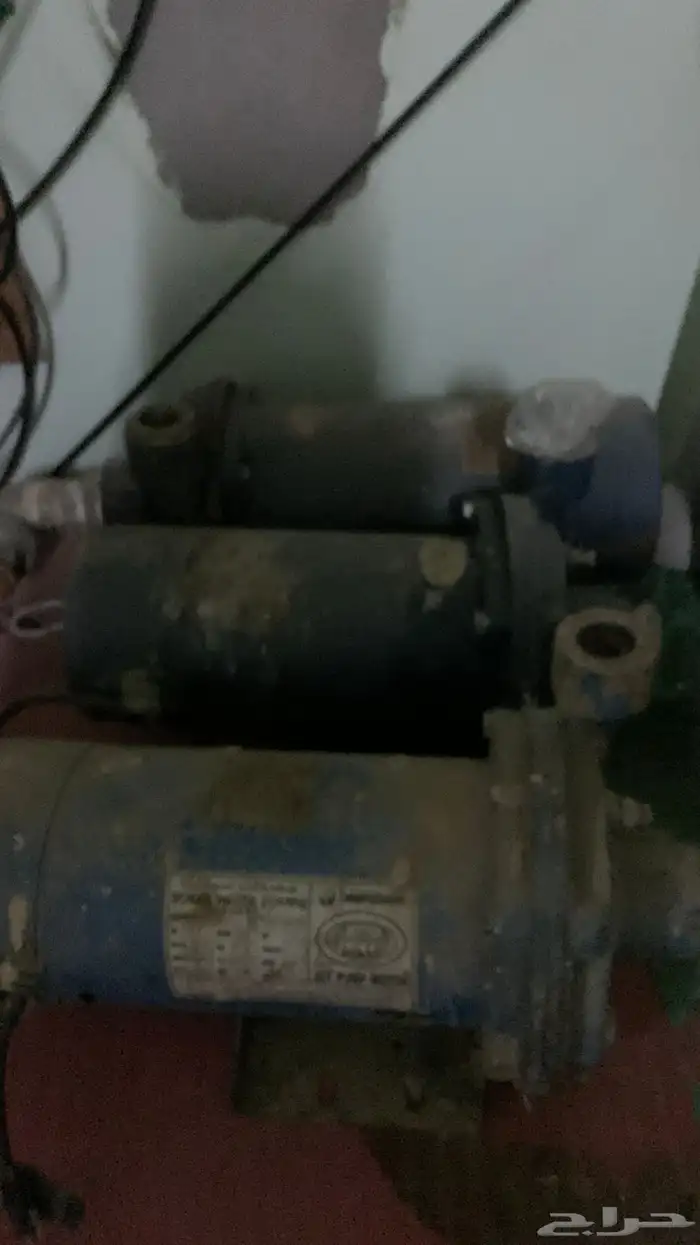 دينموات3 حبات شمسان 2