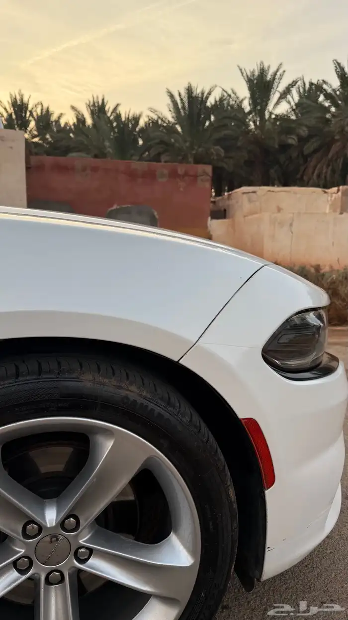 دوج تشارجر RT 11