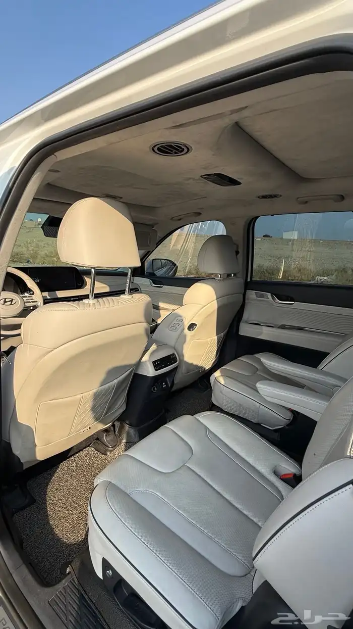 هواندي بالسيد كالجرافي 2023 20