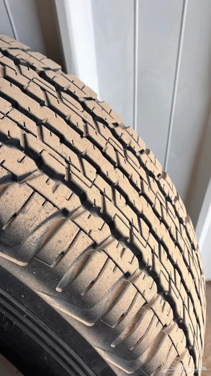 جنوط جكسار 2016 4