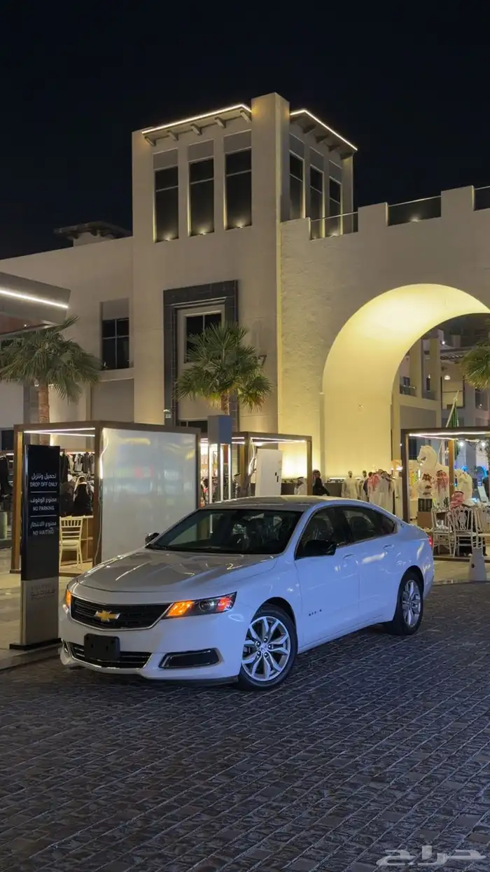 آمبالا الغزال الامريكي   . 28