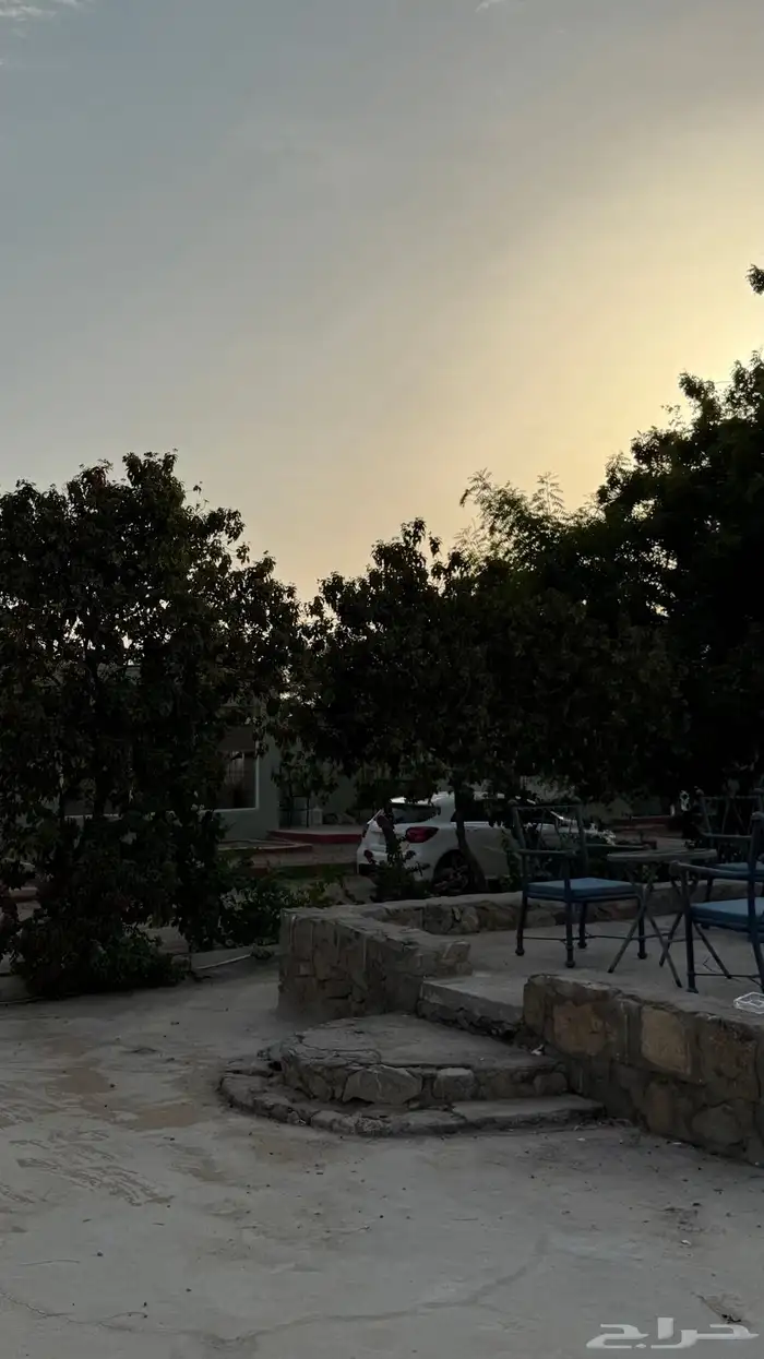 مركز سيمت ستارز للفروسية 10