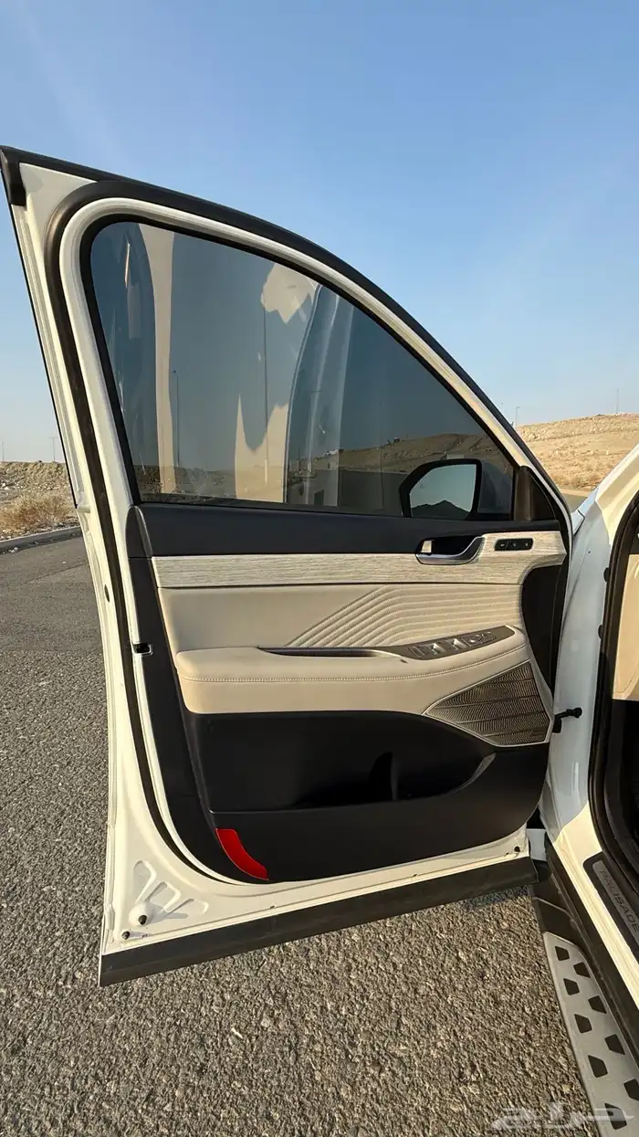 هواندي بالسيد كالجرافي 2023 5