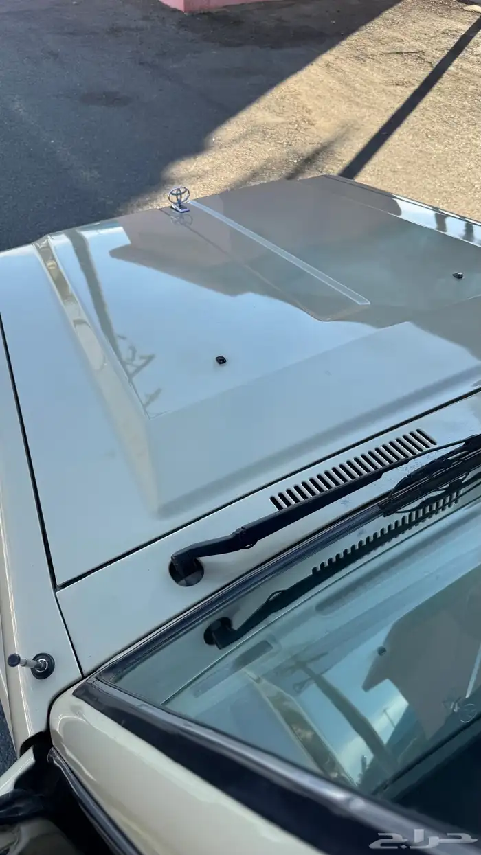 للبيع شاص مخزن 41